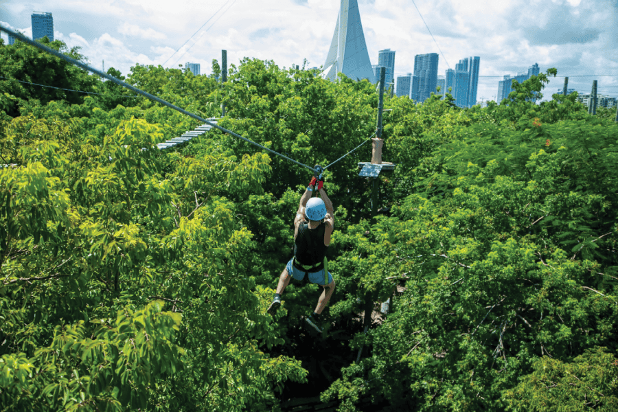 Spectacular zipline views